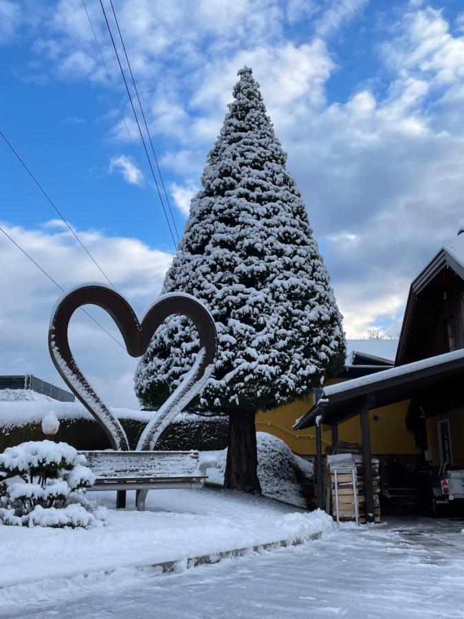 Sun Chalet Schladming Buitenkant foto