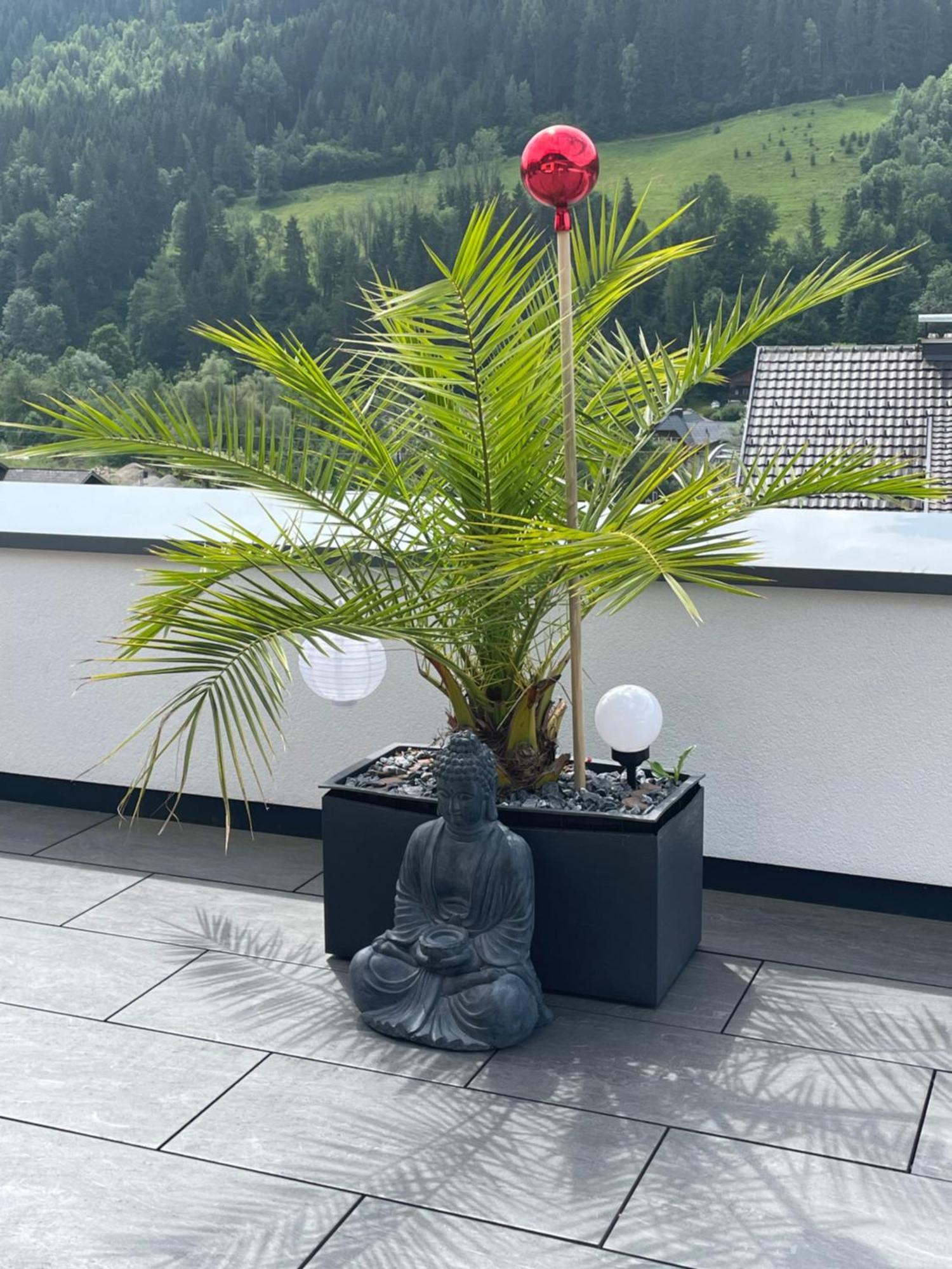 Sun Chalet Schladming Buitenkant foto